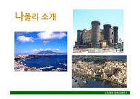 나폴리의 쓰레기 문제 해결을 위한 도시행정 사례 연구-6