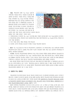 학교폭력의 실태와 예방캠페인 제안-14