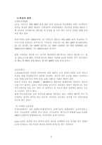 복권시장 현황과 문제점 및 개선방안-9