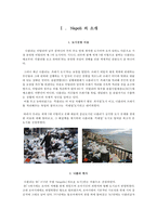 나폴리의 쓰레기 문제 해결을 위한 도시행정 사례 연구-5