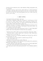 나폴리의 쓰레기 문제 해결을 위한 도시행정 사례 연구-9