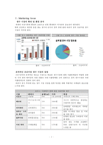 CJ 미네워터 마케팅 전략-2