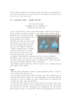 CJ 미네워터 마케팅 전략-5