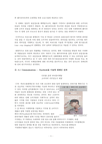 CJ 미네워터 마케팅 전략-6