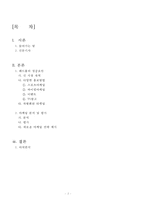 레드불 마케팅 전략 분석-2
