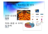 잠바주스 마케팅전략 분석과 잠바주스 기업분석-11