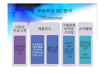 잠바주스 마케팅전략 분석과 잠바주스 기업분석-14