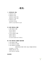 테마파크 현황과 발전방향-2