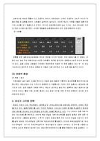 듀오의 다각화, 차별화 전략-7