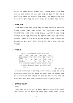 ZARA 경쟁 전략 분석-11