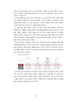 ZARA 경쟁 전략 분석-16