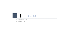 제일모직 빈폴아웃도어 독일 아웃도어시장진출 마케팅전략 분석-3