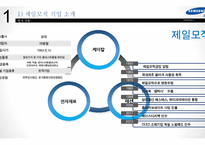 제일모직 빈폴아웃도어 독일 아웃도어시장진출 마케팅전략 분석-4