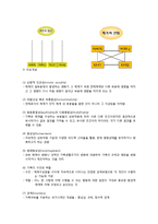 가족체계의 주요개념과 가족생활주기-2