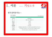 한국전력공사의 조직구조 분석-4