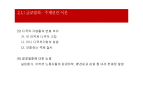 글로벌화와 국가간의 정치,경제,문화적 차이-6