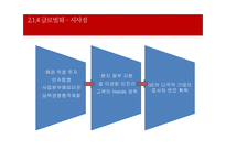 글로벌화와 국가간의 정치,경제,문화적 차이-11
