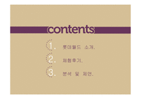 롯데월드 문제점 분석 및 대안 제언-2