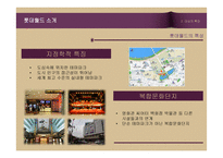 롯데월드 문제점 분석 및 대안 제언-4