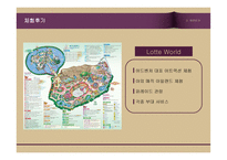 롯데월드 문제점 분석 및 대안 제언-9