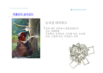테마파크 현황과 발전방향-20