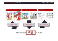 체중조절 시리얼 `Light-Up` 마케팅 전략-5