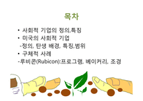 미국의 사회적 기업 사례-2