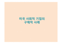미국의 사회적 기업 사례-12