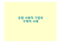 미국의 사회적 기업 사례-20