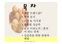 싱글족을 위한 관광마케팅-2