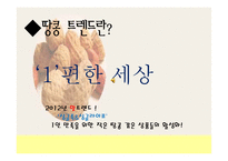 싱글족을 위한 관광마케팅-3