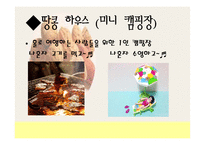 싱글족을 위한 관광마케팅-15