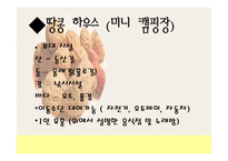 싱글족을 위한 관광마케팅-16