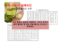 차 시장과 커피시장 현황 및 차 시장 마케팅 전략-15