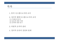 통치시스템, 정치적 행위시스템으로서의 조직 연구-2