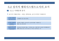 통치시스템, 정치적 행위시스템으로서의 조직 연구-12