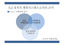 통치시스템, 정치적 행위시스템으로서의 조직 연구-13