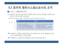 통치시스템, 정치적 행위시스템으로서의 조직 연구-15