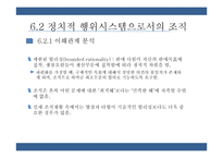 통치시스템, 정치적 행위시스템으로서의 조직 연구-17