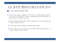 통치시스템, 정치적 행위시스템으로서의 조직 연구-19