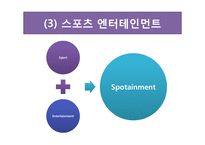 대학생 스포츠 소비 트렌드 분석-11