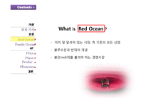 퍼플오션 전략 레포트-5