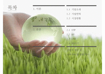 `호수의나라 수오미` 성공전략 분석-2