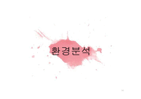 듀오의 STP, SWOT, 마케팅 분석-14