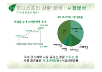 이니스프리 브랜드분석및 이니스프리 광고전략 제안 기획서-3