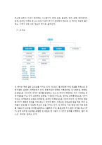 진에어 JINAIR 마케팅전략분석과 진에어 기업분석및 진에어 7P,STP.3C 분석-4