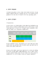 진에어 JINAIR 마케팅전략분석과 진에어 기업분석및 진에어 7P,STP.3C 분석-8