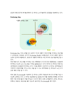 진에어 JINAIR 마케팅전략분석과 진에어 기업분석및 진에어 7P,STP.3C 분석-11