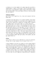 진에어 JINAIR 마케팅전략분석과 진에어 기업분석및 진에어 7P,STP.3C 분석-14