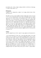 진에어 JINAIR 마케팅전략분석과 진에어 기업분석및 진에어 7P,STP.3C 분석-15